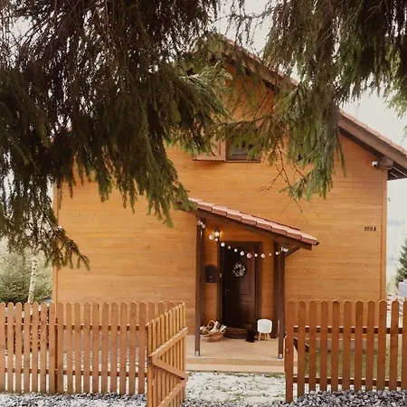 Family Nest Baisoara Perfect For Families Holiday home Muntele Baisorii