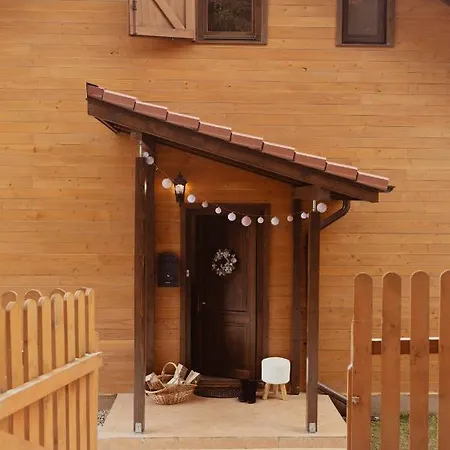 Family Nest Baisoara Perfect For Families Case de vacanță