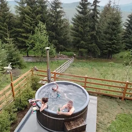 Family Nest Baisoara Perfect For Families Holiday home *