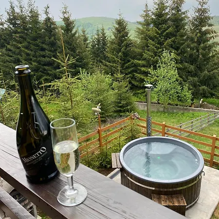 Family Nest Baisoara Perfect For Families Muntele Băișorii