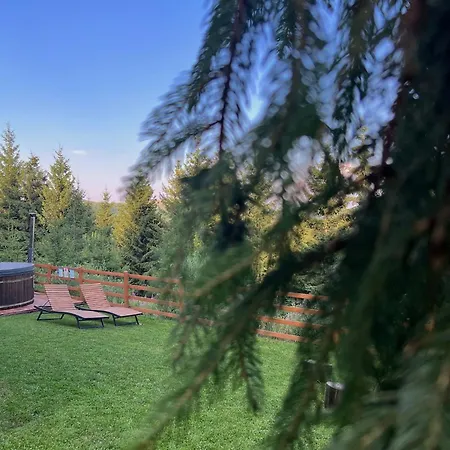 Family Nest Baisoara Perfect For Families Muntele Băișorii
