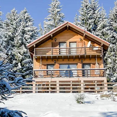Case de vacanță Family Nest Baisoara Perfect For Families *